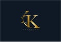 Initial K Letter Linked Swoosh Rounded Monogram Logotype Royalty Free Stock Photo