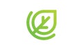 Letter C with Green Leaf logo