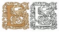 Vintage initial letter E with baroque decoration