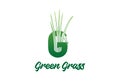 Initial Letter G for Green Grass Logo Design Vector Royalty Free Stock Photo