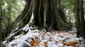 Initial Snowfall Covering an Old Tree Root Generative AI Royalty Free Stock Photo