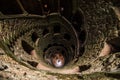 The Initiation well of Quinta da Regaleira in Sintra. The depth of the well is 27 meters. It connects with other tunnels through u