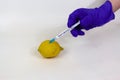 Injected lemon closeup view with food injection syringe on gloved hand