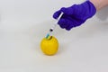 Injected semi dried apple closeup view with food injection syringe on gloved hand