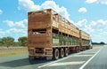 Road Train Transporting Cattle