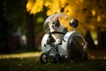 Injured cat riding wheelchair in city public park. Generative AI