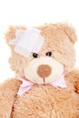 Injured Sweet Teddy Bear