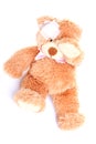Injured Sweet Teddy Bear