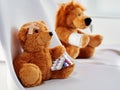 Injured teddy bear holding two medicine blisters