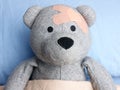 Injured Teddy Bear plasters head bed