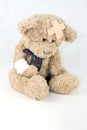 Injured Teddy