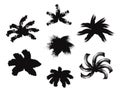 Ink abstract palm foliage. Grunge brushes black bushes, isolated hand drawn prints. Design elements, vector decorative Royalty Free Stock Photo