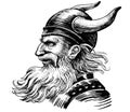 Viking head Royalty Free Stock Photo