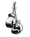 Hanging boxing gloves