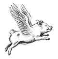 Flying pig Royalty Free Stock Photo