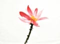 Ink brush painting of lotus flower in Chinese oriental style