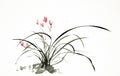 Ink brush painting of wild orchid in Chinese traditional art style Royalty Free Stock Photo