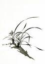 Ink brush painting of wild orchid in Chinese traditional art style Royalty Free Stock Photo