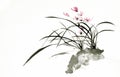 Ink brush painting of wild orchid in Chinese traditional art style Royalty Free Stock Photo