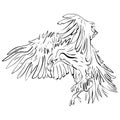 Ink crow Black Raven illustration. Royalty Free Stock Photo