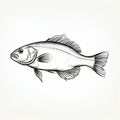 Black And White Fish Sketch: Classical Proportions And Streamlined Design