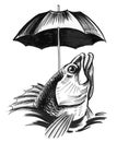 Fish under the umbrella