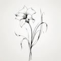 Minimalist Black And White Flower Illustration Graceful Curves And Delicate Pencil Sketches Royalty Free Stock Photo