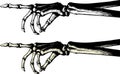 Ink drawing of a pointing skeleton hand Royalty Free Stock Photo