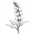 Monochrome Snapdragon Illustration With Clean-lined Felinecore Style
