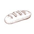 Ink drawn wheat bread isolated on white background. traditional long loaf of bread doodle icon. Vector sketch in vintage