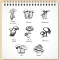 Ink Edible Mushrooms Set