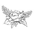 Ink: Floral composition featuring delicate open rose flowers fern and rose leaves. Decorative foliage in a simple monochromatic