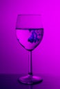 Ink in a glass of water Royalty Free Stock Photo