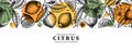 Ink hand drawn citrus fruits banner design. Vector lemons background with fruits, flowers, seeds, leaves sketches. Perfect for
