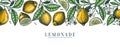 Ink hand drawn citrus fruits banner design. Vector lemons background with fruits, flowers, seeds, leaves sketches. Perfect for