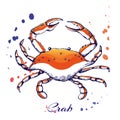 ink hand drawn crab concept for decoration or design. Ink spattered crab illustration. vector red boiled crab drawn in ink. Royalty Free Stock Photo