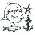Ink hand drawn elements of marine world Royalty Free Stock Photo