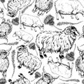 Ink hand drawn graphic vector sketch. Seamless pattern with scottish symbol objects. Sheep and horned ram, hairy coo cow Royalty Free Stock Photo