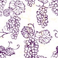 Ink hand drawn seamless pattern with grape Royalty Free Stock Photo