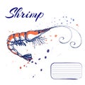 ink hand drawn shrimp or prawn concept for decoration or design. Ink spattered shrimp illustration. red king prawn drawn in ink.