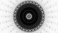 Ink mandala round kaleidoscope black circle white Royalty Free Stock Photo