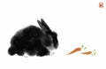 Ink painting with black fluffy rabbit eating carrot on white background. Traditional oriental ink painting sumi-e, u-sin