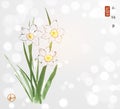 Ink painting of daffodiles on shimmered white background. Traditional oriental ink painting sumi-e, u-sin, go-hua