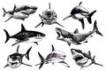 Graphical hand-drawn set of sharks isolated on white background, vector illustration Royalty Free Stock Photo