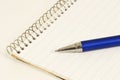Ink Pen on Steno Pad Royalty Free Stock Photo