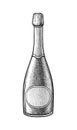 Ink sketch of champagne bottle