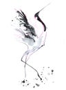 Ink sketch of a heron standing flapping its wings