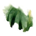 Ink splatter watercolour dye liquid watercolor green macro spot blotch texture isolated on white background