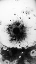 Ink stains dark water splash liquid explosion