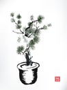 Ink style Pine Tree in pot Royalty Free Stock Photo